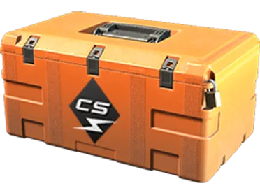 Weapon Cases
