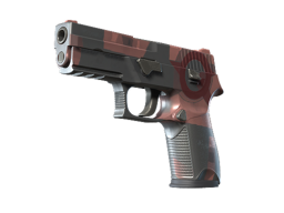 P250 | Constructivist