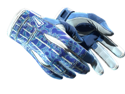 Sport Gloves | Amphibious