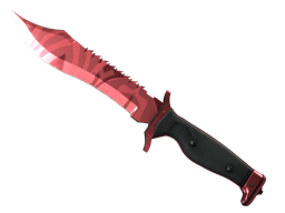 Bowie Knife | Slaughter