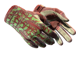 Sport Gloves | Bronze Morph