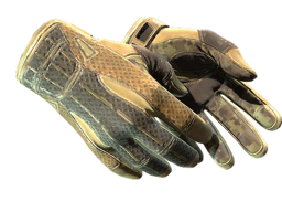 Sport Gloves | Arid