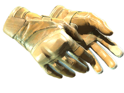 Moto Gloves | Transport