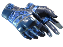 Moto Gloves | Polygon