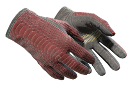 Driver Gloves | Dragon Fists