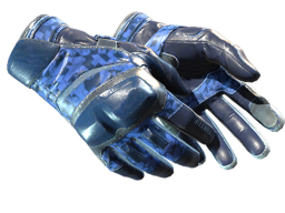 Moto Gloves | Polygon