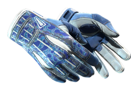 Sport Gloves | Amphibious
