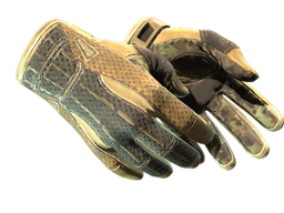 Sport Gloves | Arid
