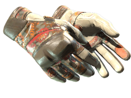 Moto Gloves | POW!